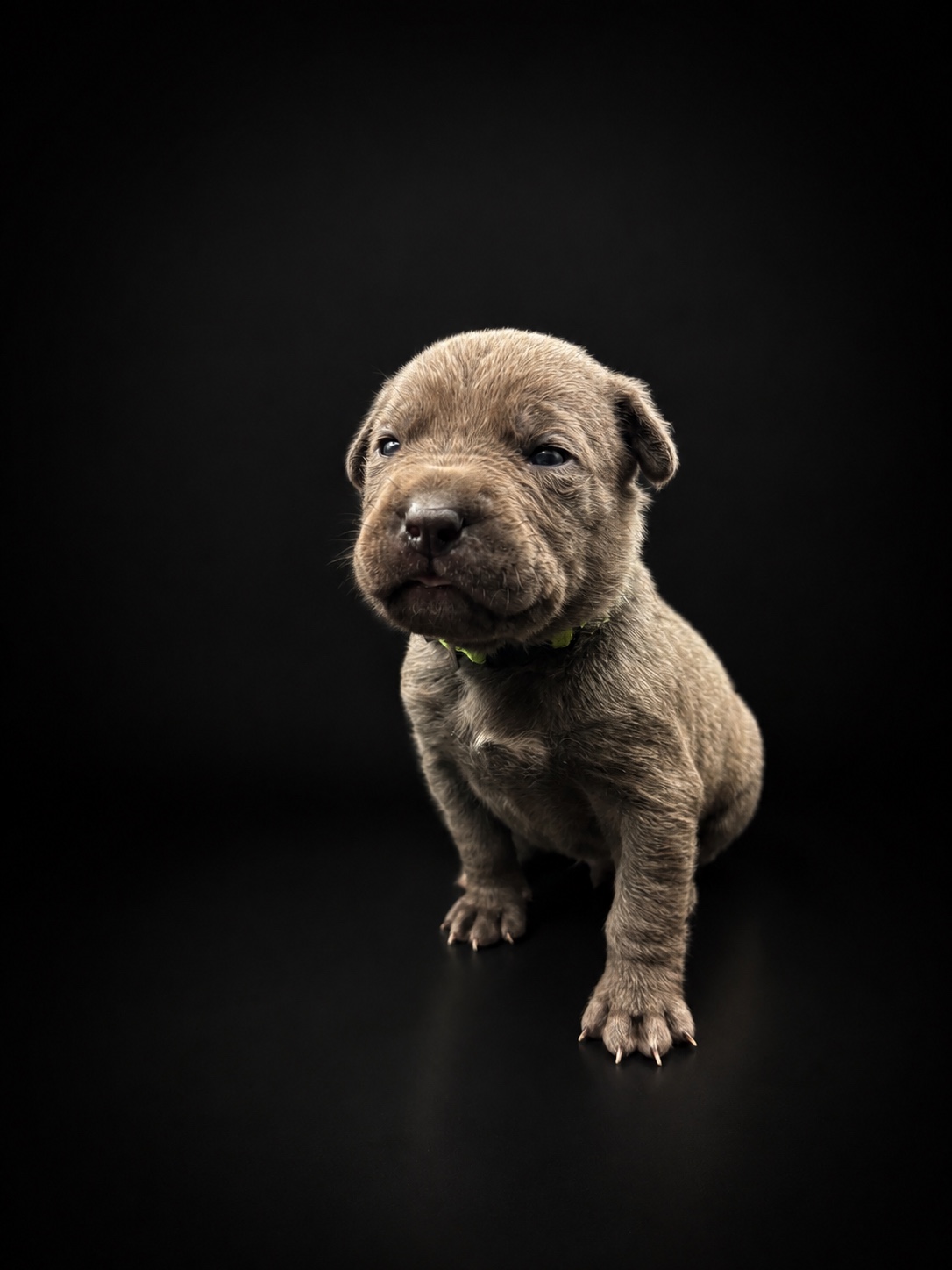 Rocky portrait