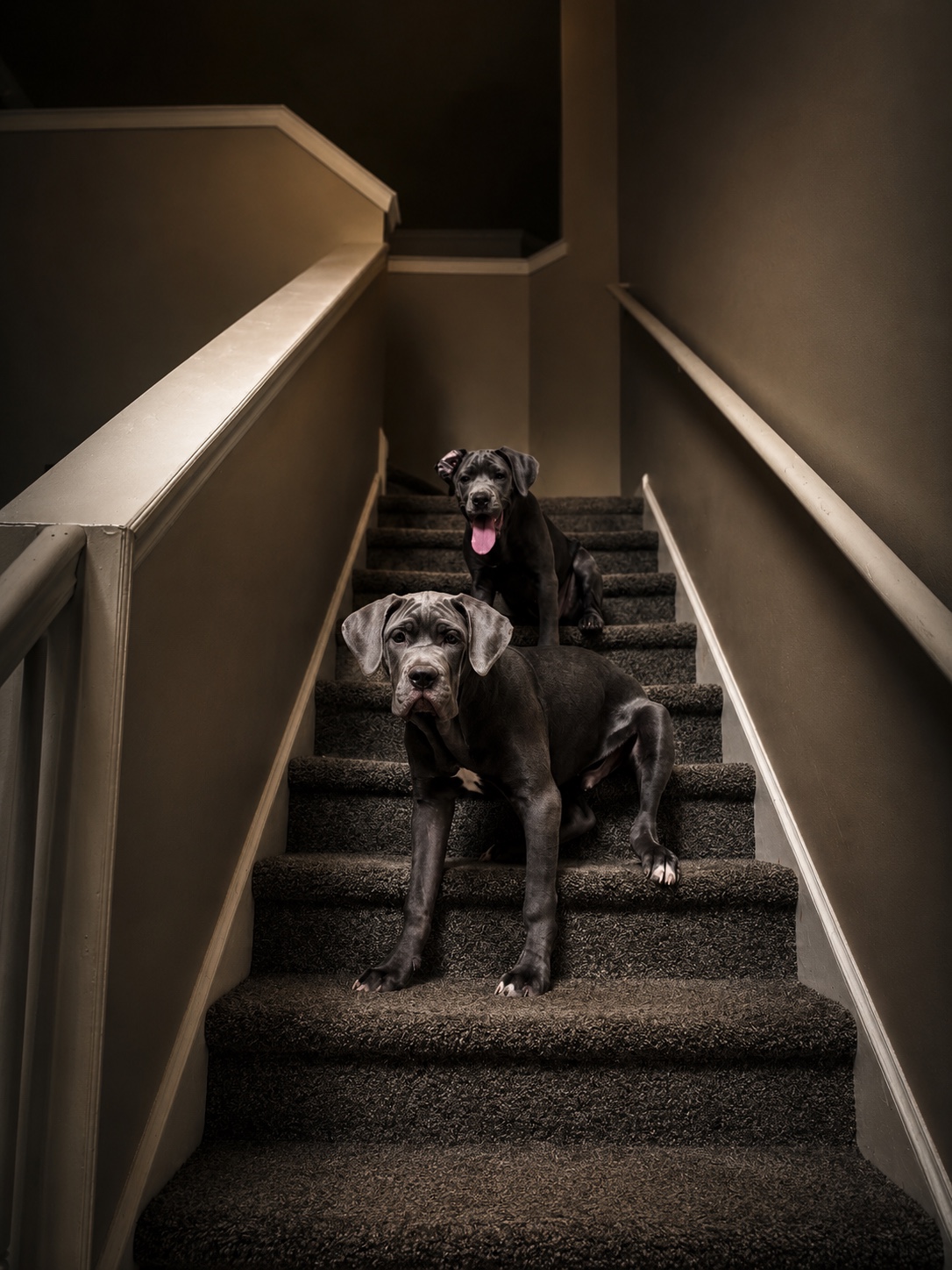 Kane and Shelby on the stairs
